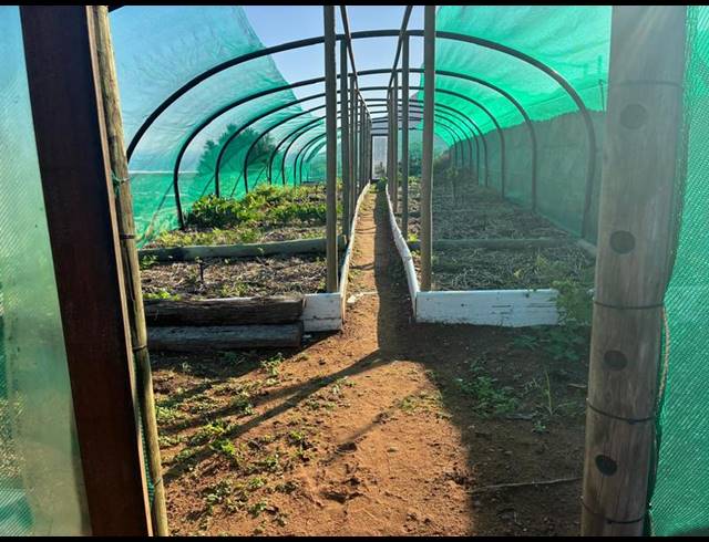 4 BEDROOM PROPERTY TO RENT IN SAN MICHEL